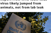 世卫组织新冠溯源报告发布：武汉华南海鲜市场非疫情源头