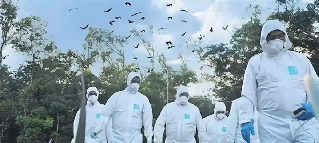 尼帕病毒 马来西亚疫情 尼帕病毒防控_疫情防控物资