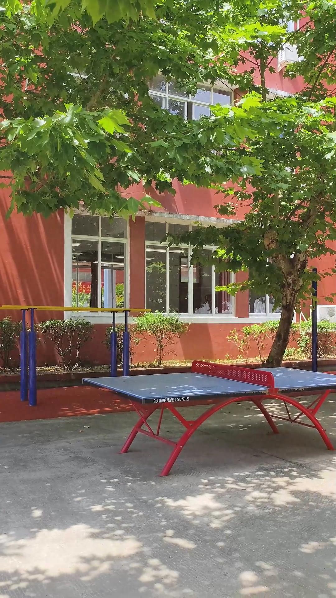 高考失利别慌！靠谱高复机构挑选指南及行业优势全解析