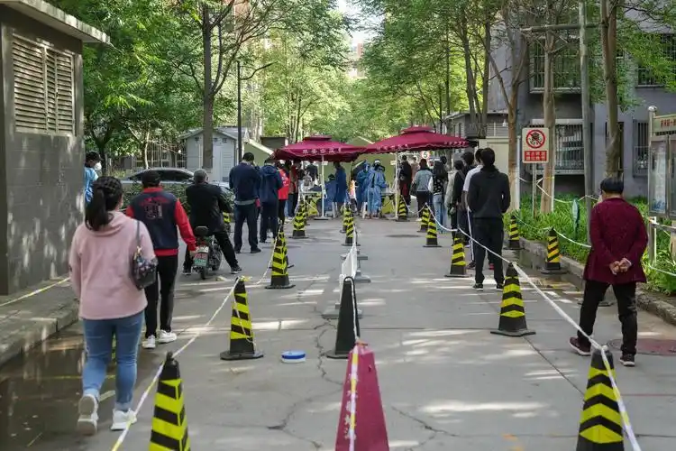 国内疫情反弹迹象显现,重点地区动态及防控措施需关注