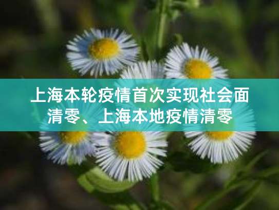 五月初始上海疫情防控现积极变化，乘势巩固扩大清零战果