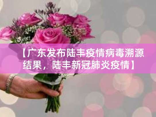 广东陆丰公布疫情源头，做好防范勿去人多之地