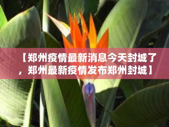 郑州又现疫情！今年两度封城超月余，民众生活压力大